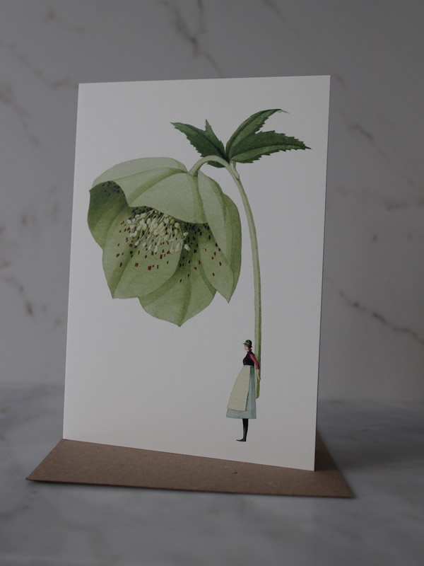 Laura Stoddart Card at Sally Bourne Interiors